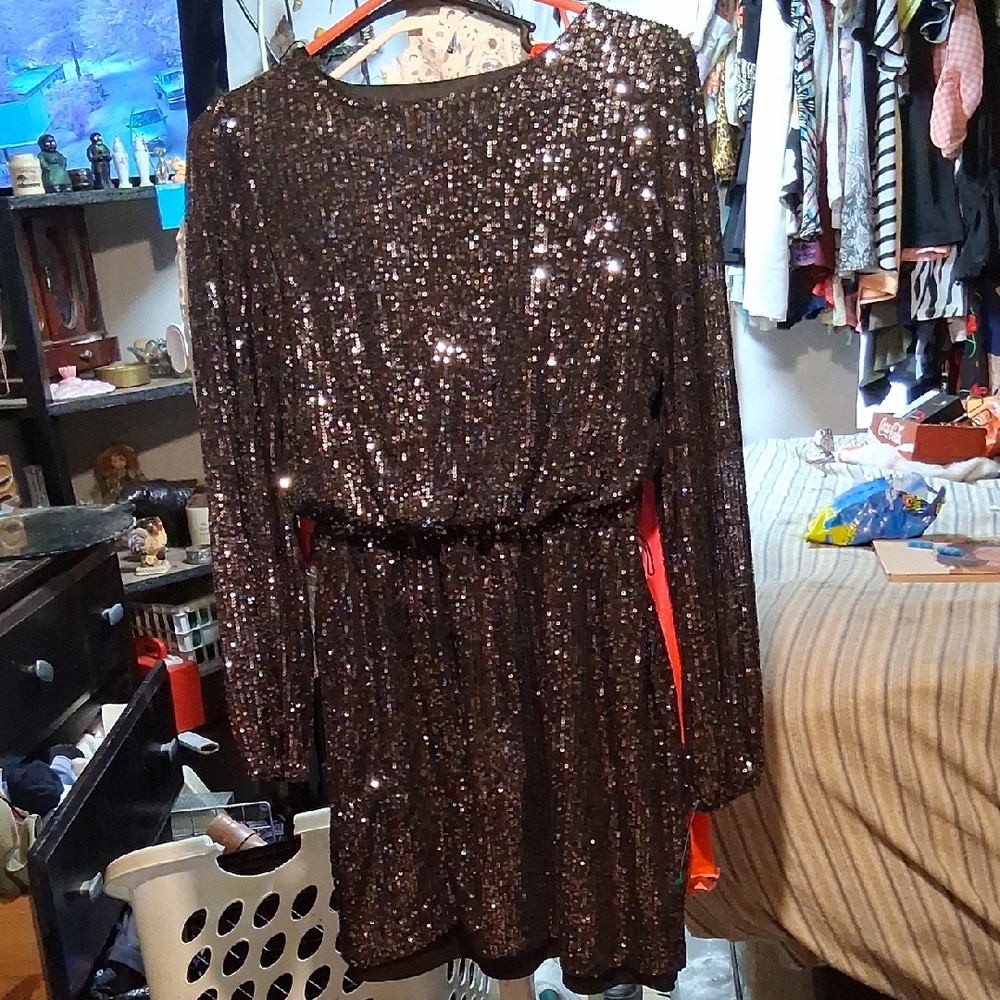 Sequin Long Sleeve Dress